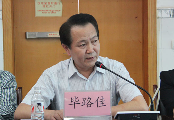 毕路佳