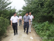 秦智坤：加快进度　全力推进项目建设