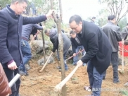 德江县人民医院积极参加全县全域绿化“六绿”攻坚行动暨义务植树活动