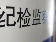 中央决策部署到哪里，政治监督检查就跟进到哪里